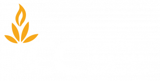 ICC – Spanish Language and Culture